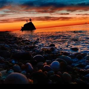 Meet your Posher, Logan